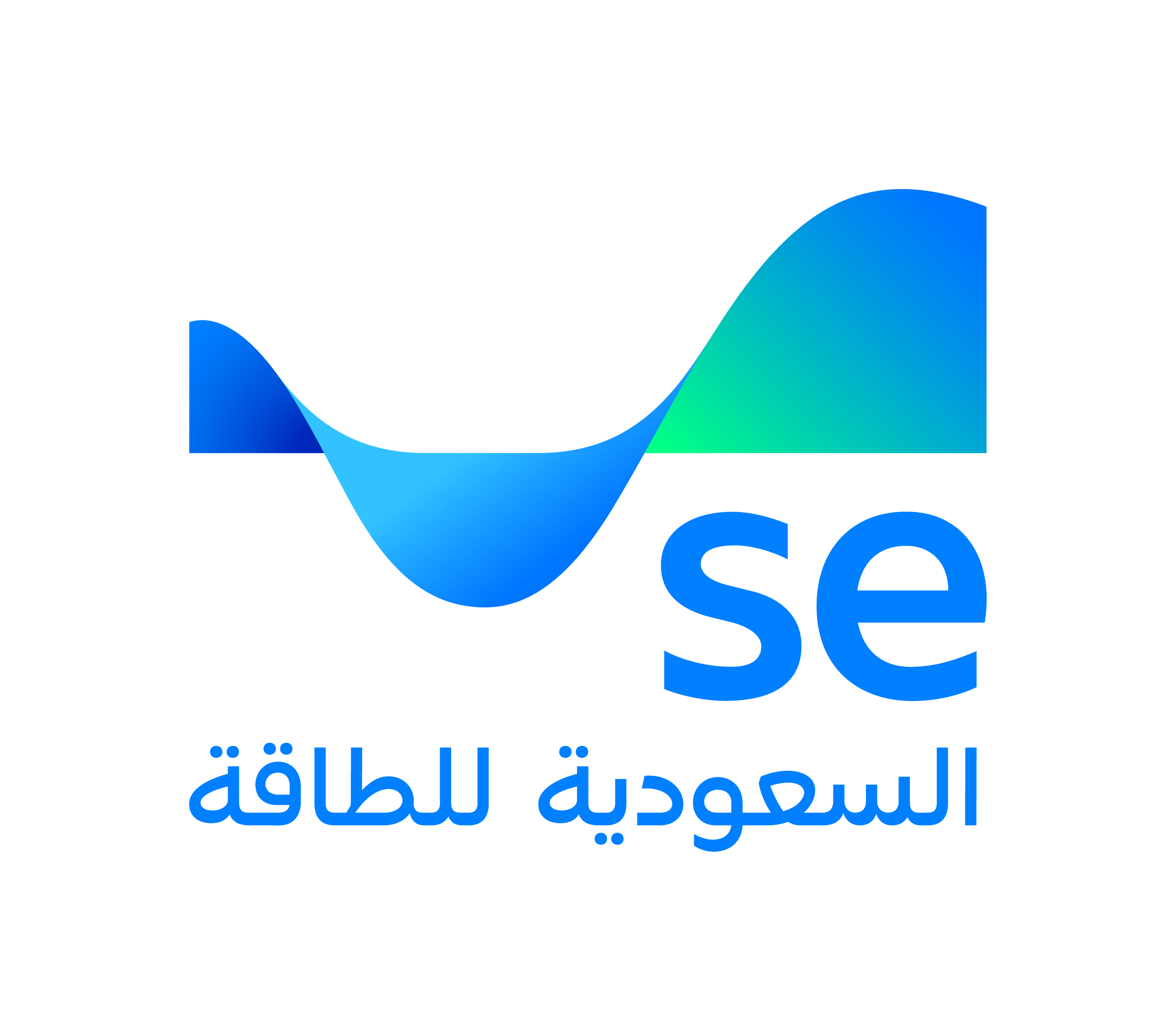 شركة الكهرباء